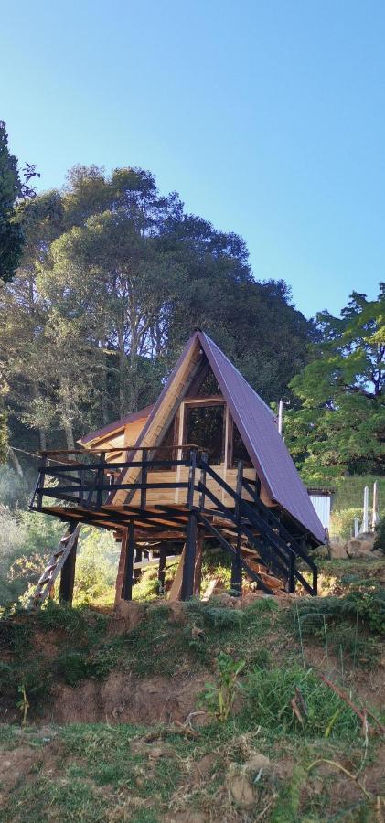 Glamping Jaulares Mountain Rivas