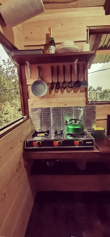 Glamping Jaulares Mountain * Rivas